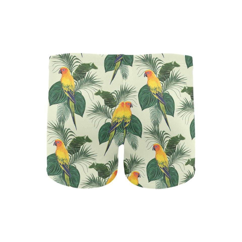 Beautiful parrot palm leaves pattern Men's Swimming Trunks