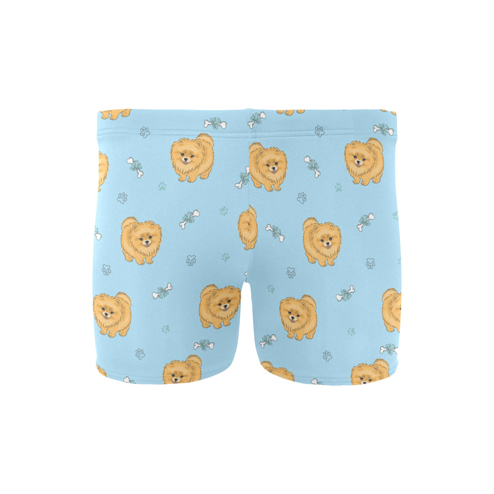 Brown cute pomeranian blue blackground Men's Swimming Trunks