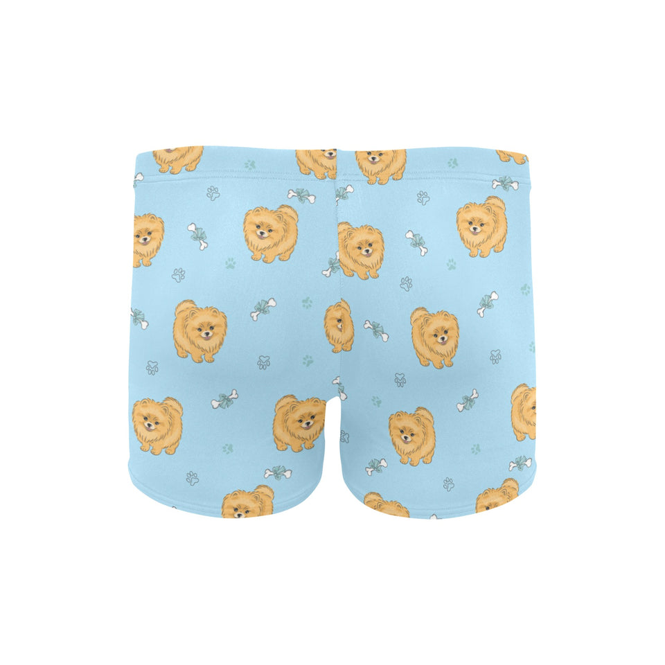 Brown cute pomeranian blue blackground Men's Swimming Trunks