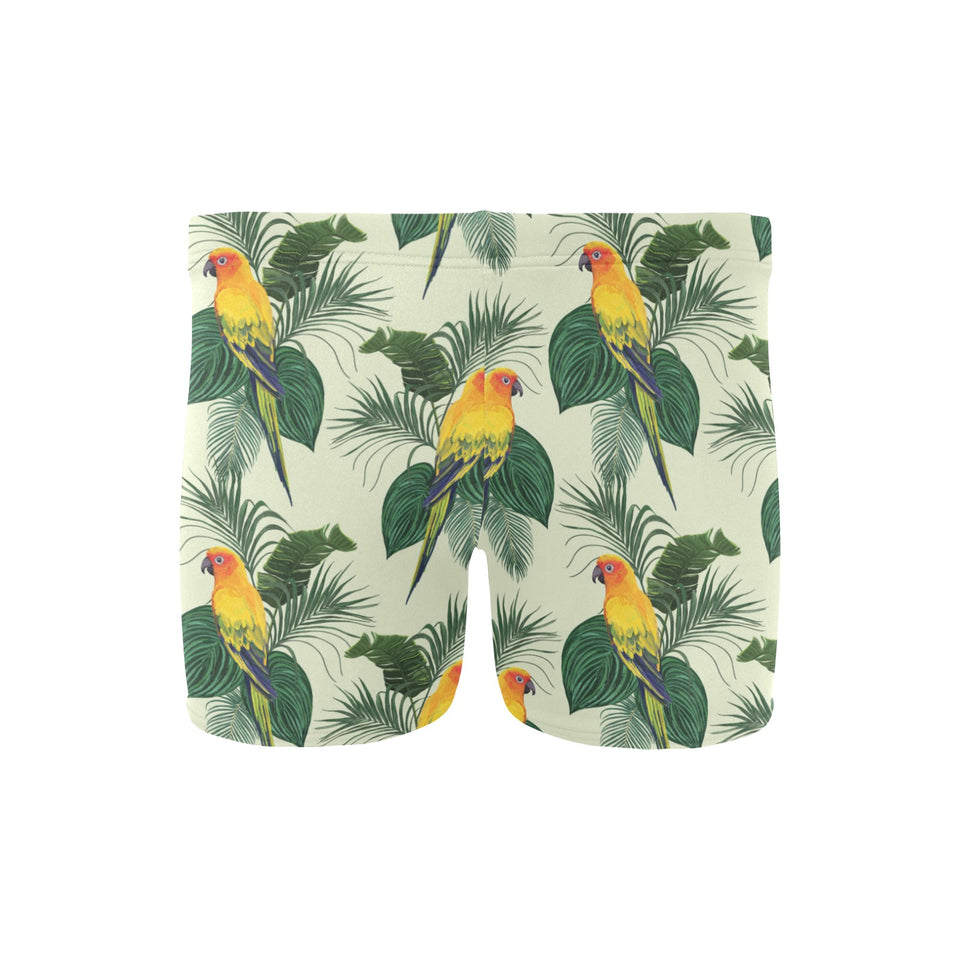 Beautiful parrot palm leaves pattern Men's Swimming Trunks
