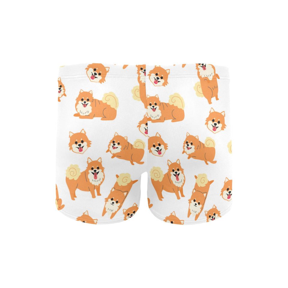Brown pomeranian pattern Men's Swimming Trunks