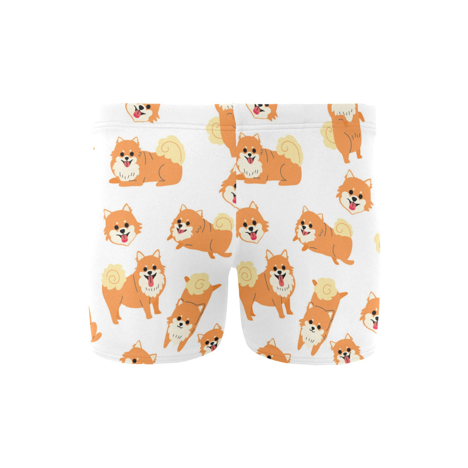 Brown pomeranian pattern Men's Swimming Trunks