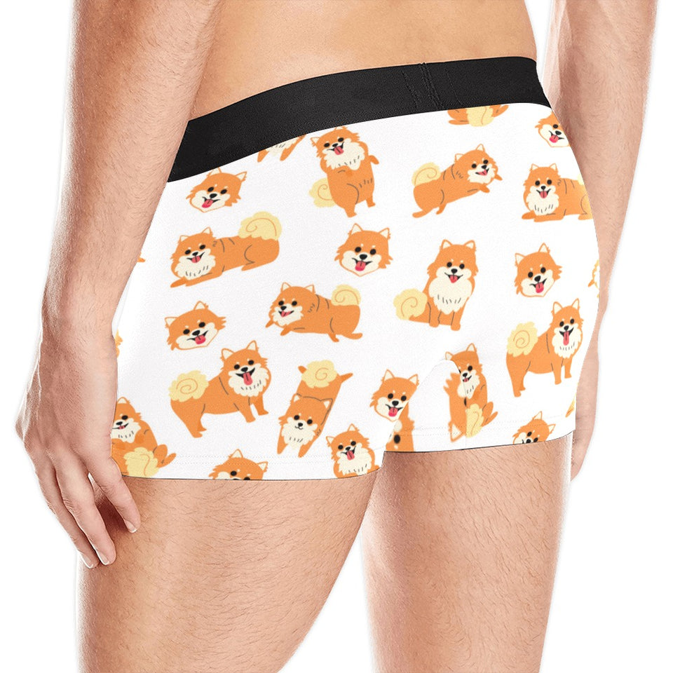 Brown pomeranian pattern Men's All Over Print Boxer Briefs Men's Underwear