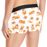 Brown pomeranian pattern Men's All Over Print Boxer Briefs Men's Underwear