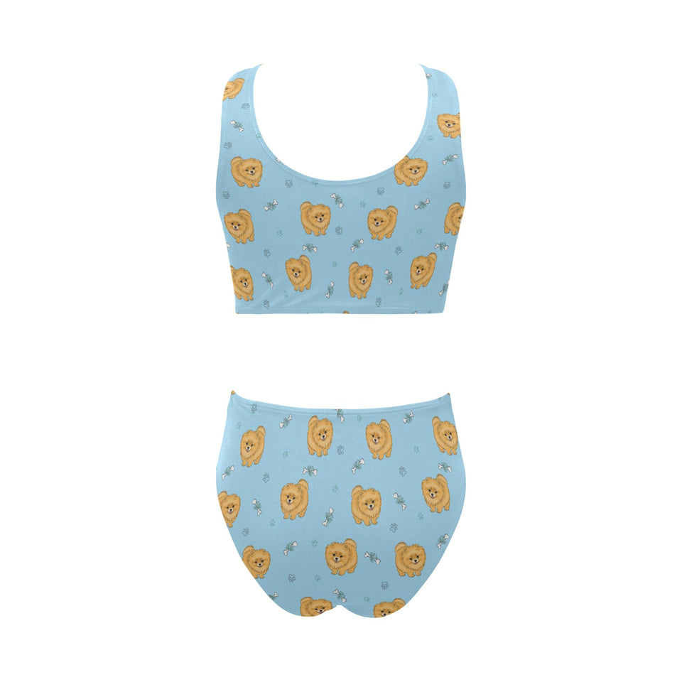 Brown cute pomeranian blue blackground Chest Bowknot High Waisted Bikini Swimsuit