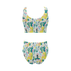Cute parrot toucan flamingo cactus exotic leaves p Chest Bowknot High Waisted Bikini Swimsuit