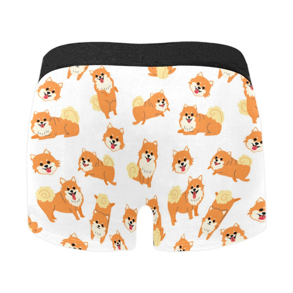 Brown pomeranian pattern Men's All Over Print Boxer Briefs Men's Underwear
