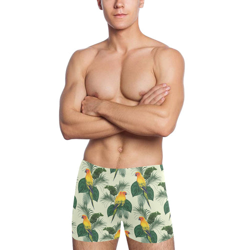 Beautiful parrot palm leaves pattern Men's Swimming Trunks