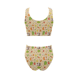 Guinea Pig Pattern Print Design 05 Chest Bowknot High Waisted Bikini Swimsuit