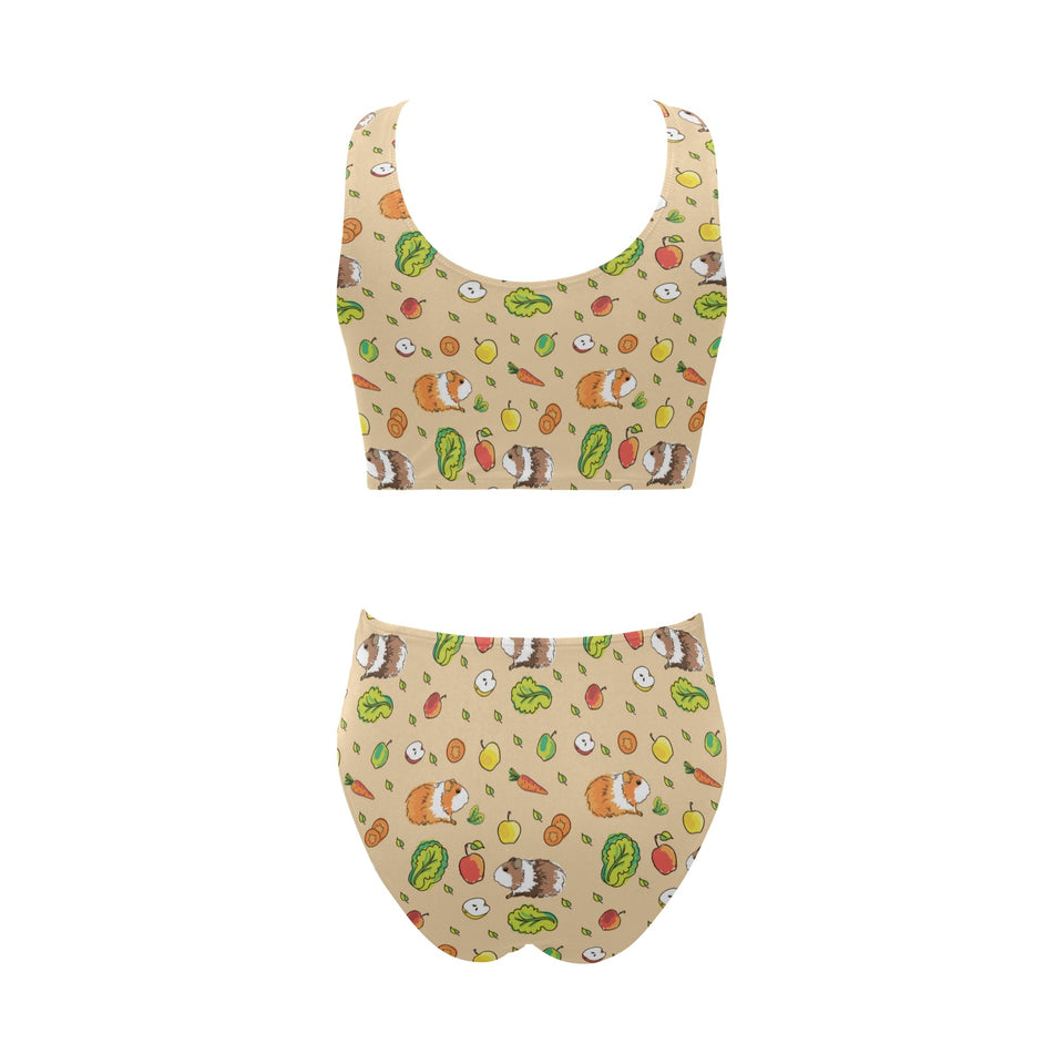 Guinea Pig Pattern Print Design 05 Chest Bowknot High Waisted Bikini Swimsuit