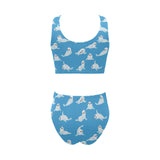 Cute sea lion seal pattern background Chest Bowknot High Waisted Bikini Swimsuit