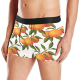 Oranges pattern background Men's All Over Print Boxer Briefs Men's Underwear