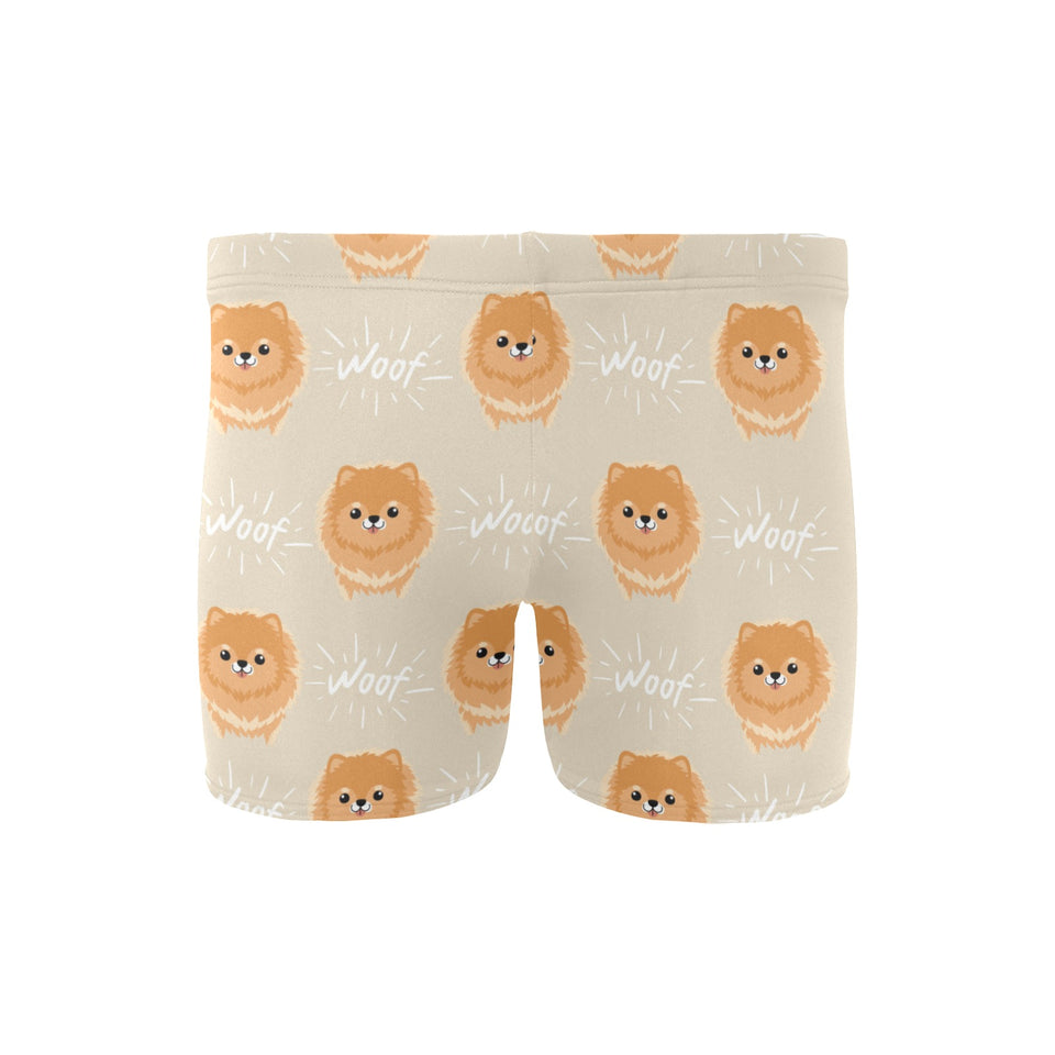 Cute brown pomeranian puppy on blue Men's Swimming Trunks