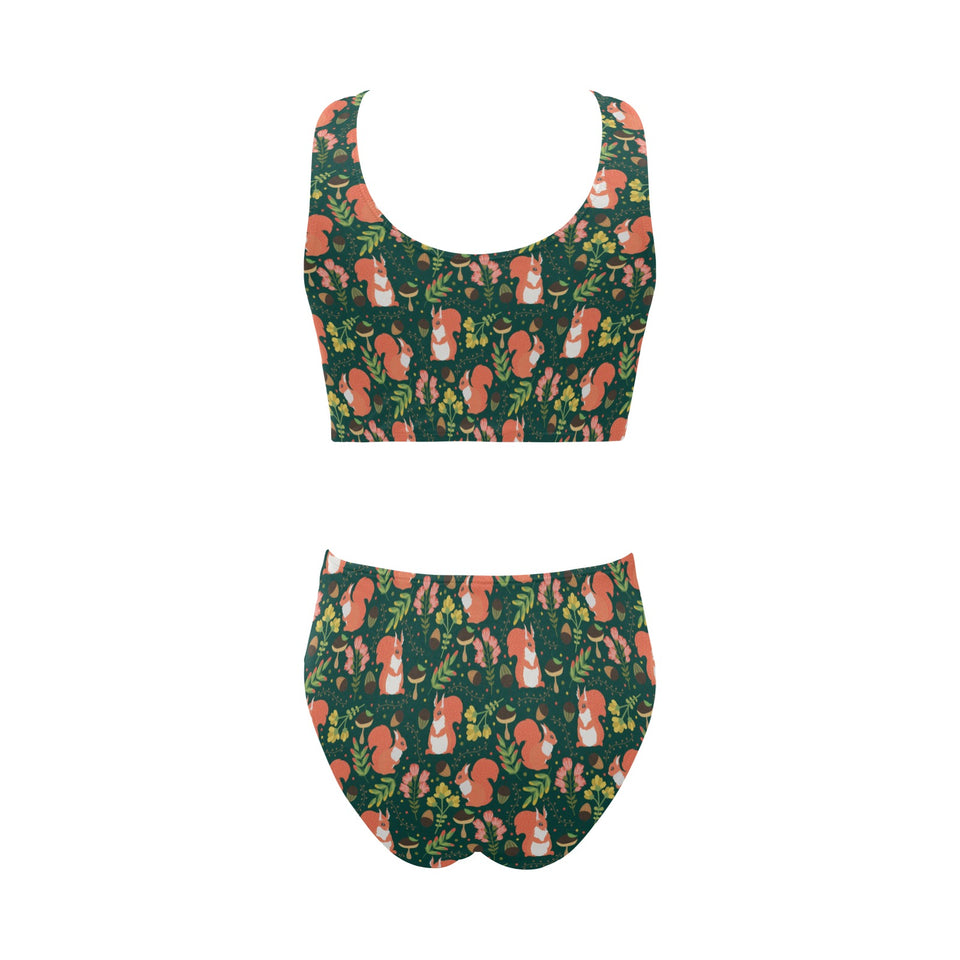 Squirrel Pattern Print Design 03 Chest Bowknot High Waisted Bikini Swimsuit
