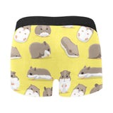 Cute Hamster pattern Men's All Over Print Boxer Briefs Men's Underwear