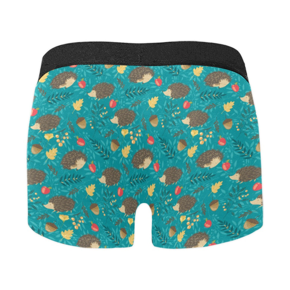 Hedgehog Pattern Print Design 01 Men's All Over Print Boxer Briefs Men's Underwear