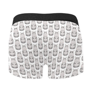 Hippopotamus Pattern Print Design 05 Men's All Over Print Boxer Briefs Men's Underwear
