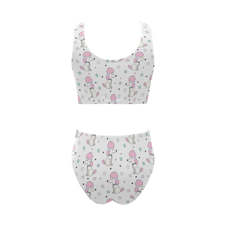 Cute poodle dog star pattern Chest Bowknot High Waisted Bikini Swimsuit