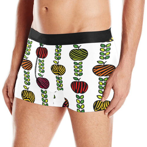 colorful apples leave zebra stripe Men's All Over Print Boxer Briefs Men's Underwear