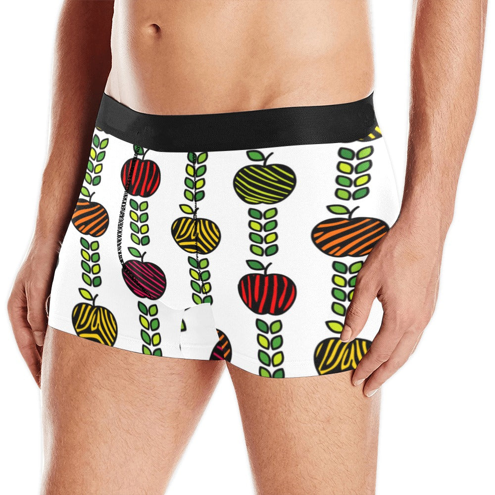 colorful apples leave zebra stripe Men's All Over Print Boxer Briefs Men's Underwear