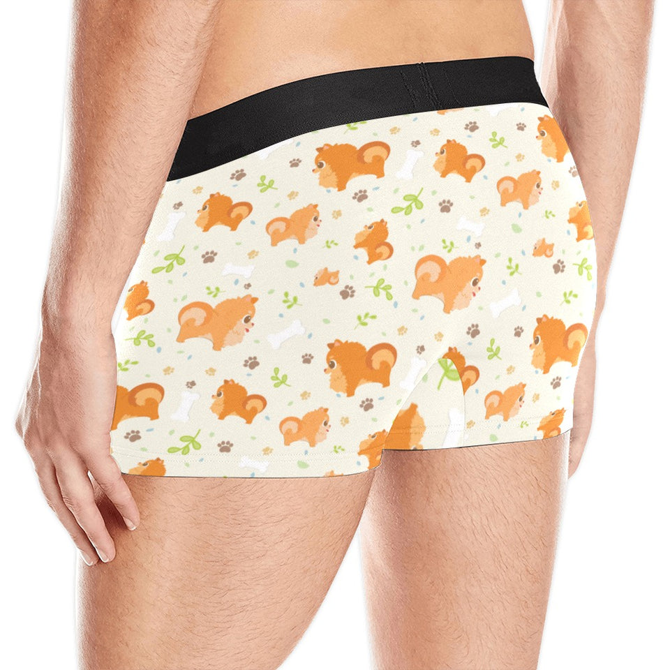 Cute brown pomeranian paw leave bone pattern Men's All Over Print Boxer Briefs Men's Underwear