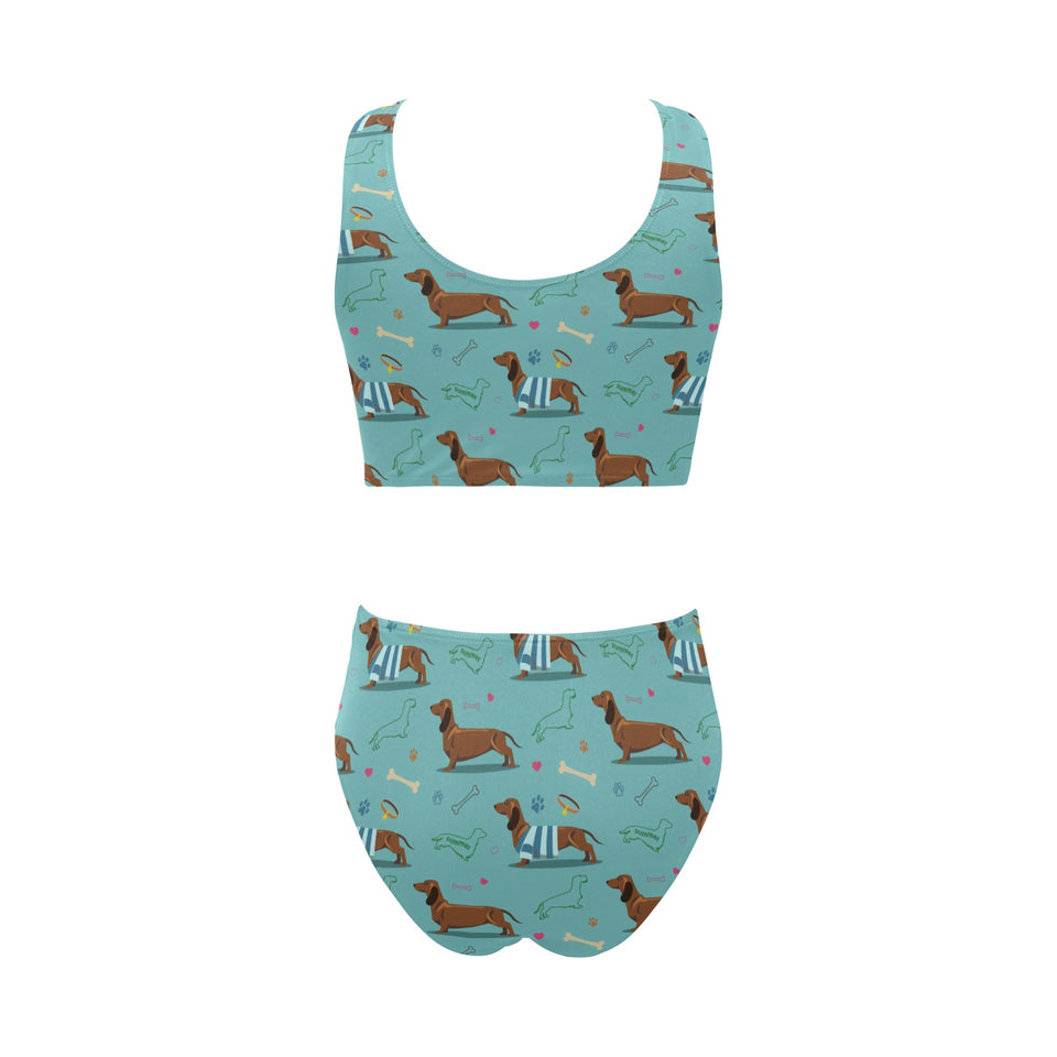 Dachshund decorative background Chest Bowknot High Waisted Bikini Swimsuit