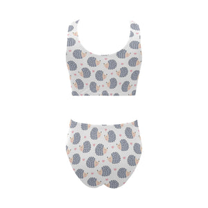 Hedgehog Pattern Print Design 04 Chest Bowknot High Waisted Bikini Swimsuit