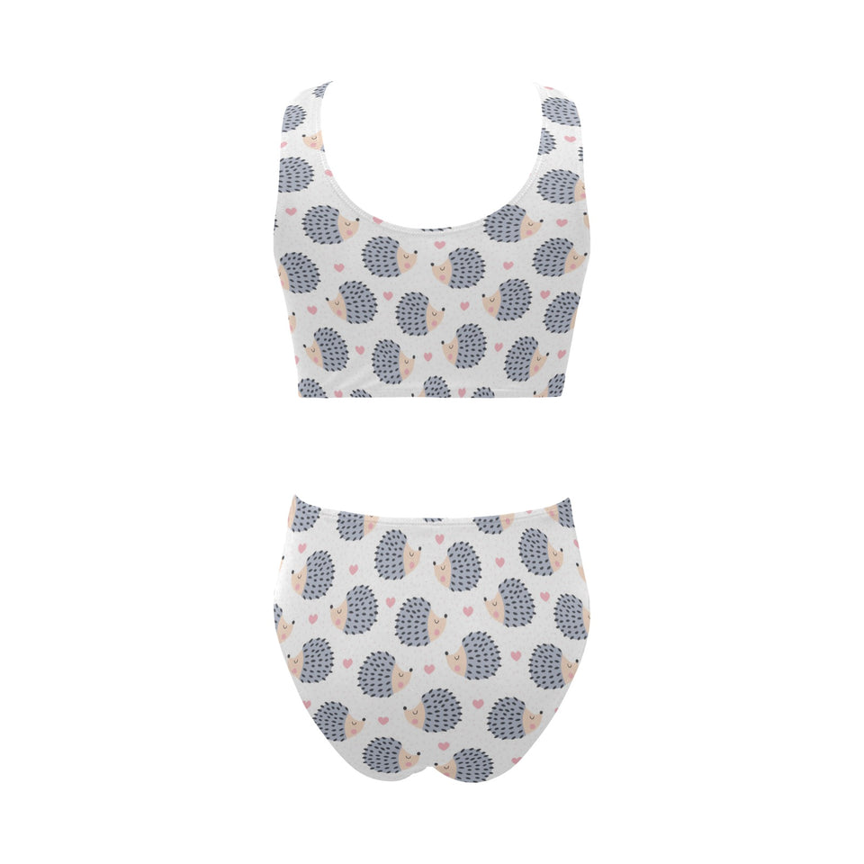 Hedgehog Pattern Print Design 04 Chest Bowknot High Waisted Bikini Swimsuit