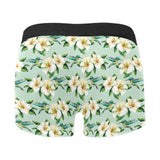 Hummingbird Pattern Print Design 01 Men's All Over Print Boxer Briefs Men's Underwear