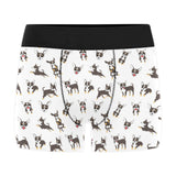 Chihuahua dog pattern Men's All Over Print Boxer Briefs Men's Underwear