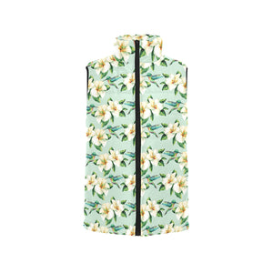 Hummingbird Pattern Print Design 01 Men's Padded Vest