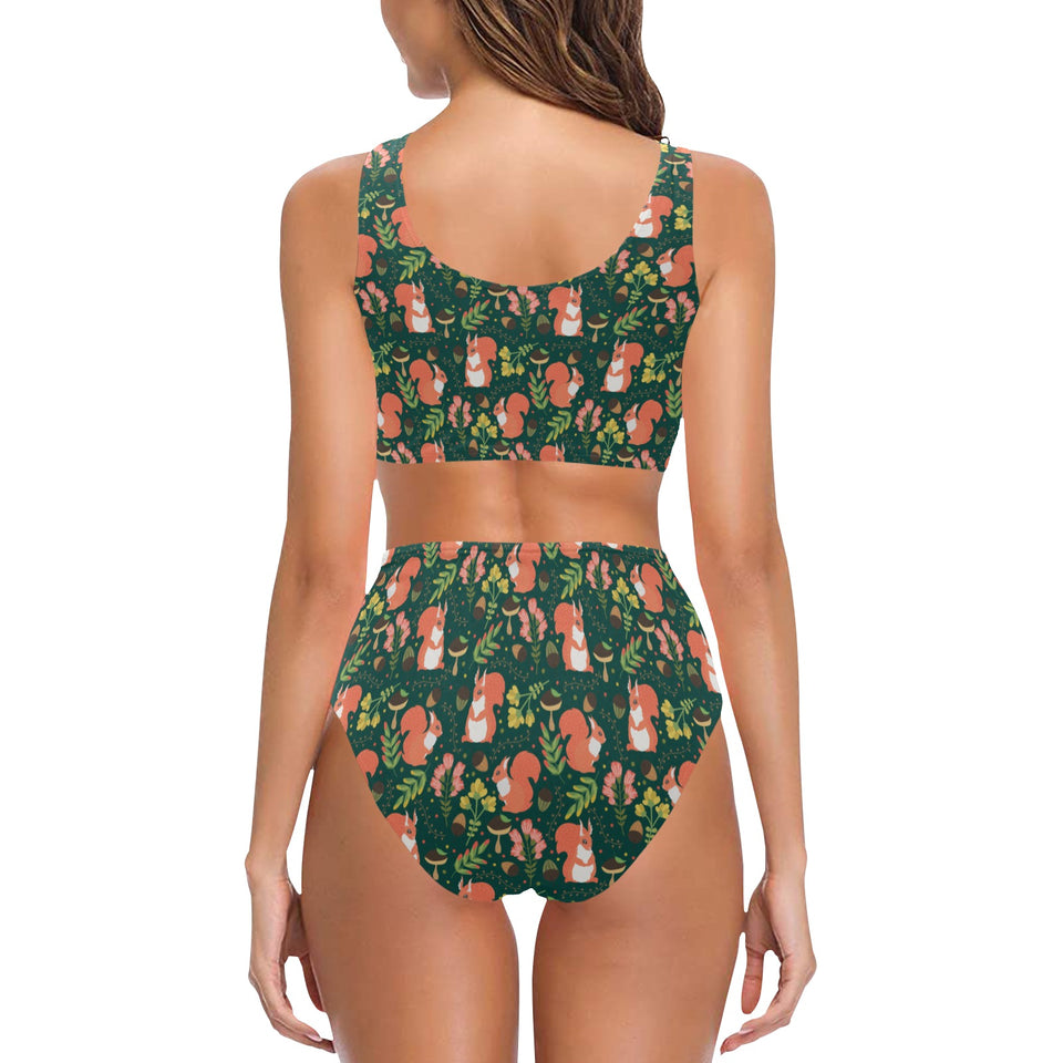 Squirrel Pattern Print Design 03 Chest Bowknot High Waisted Bikini Swimsuit