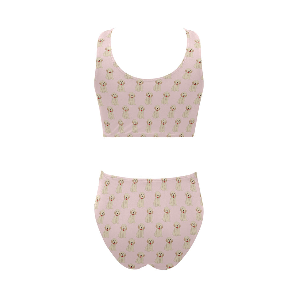 Golden Retriever Pattern Print Design 02 Chest Bowknot High Waisted Bikini Swimsuit