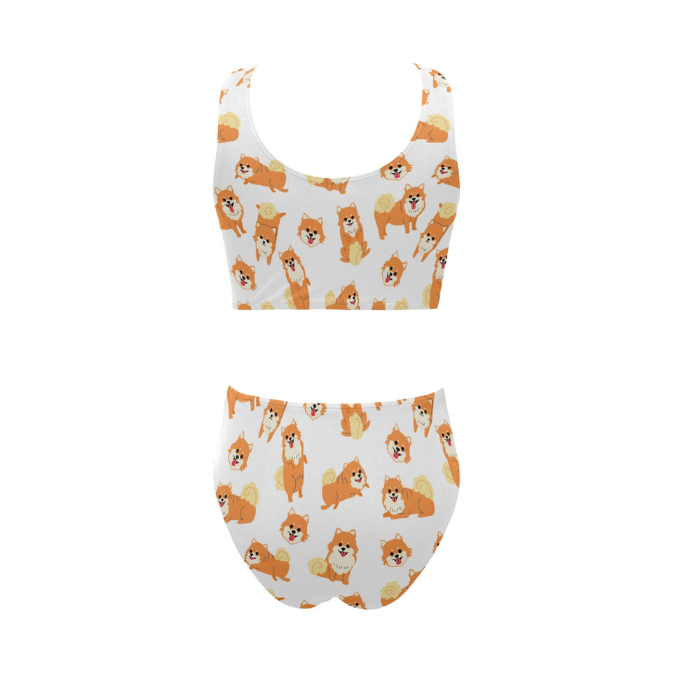 Brown pomeranian pattern Chest Bowknot High Waisted Bikini Swimsuit