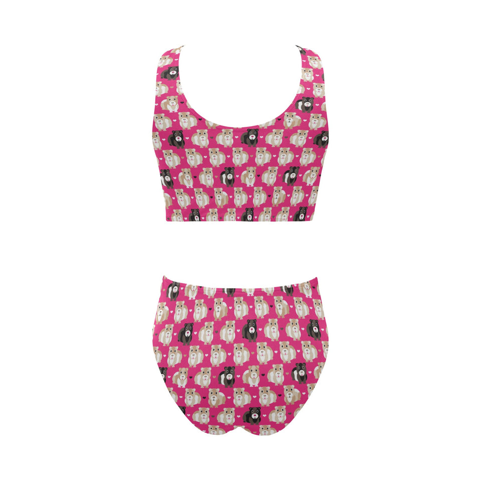 Guinea Pig Pattern Print Design 01 Chest Bowknot High Waisted Bikini Swimsuit