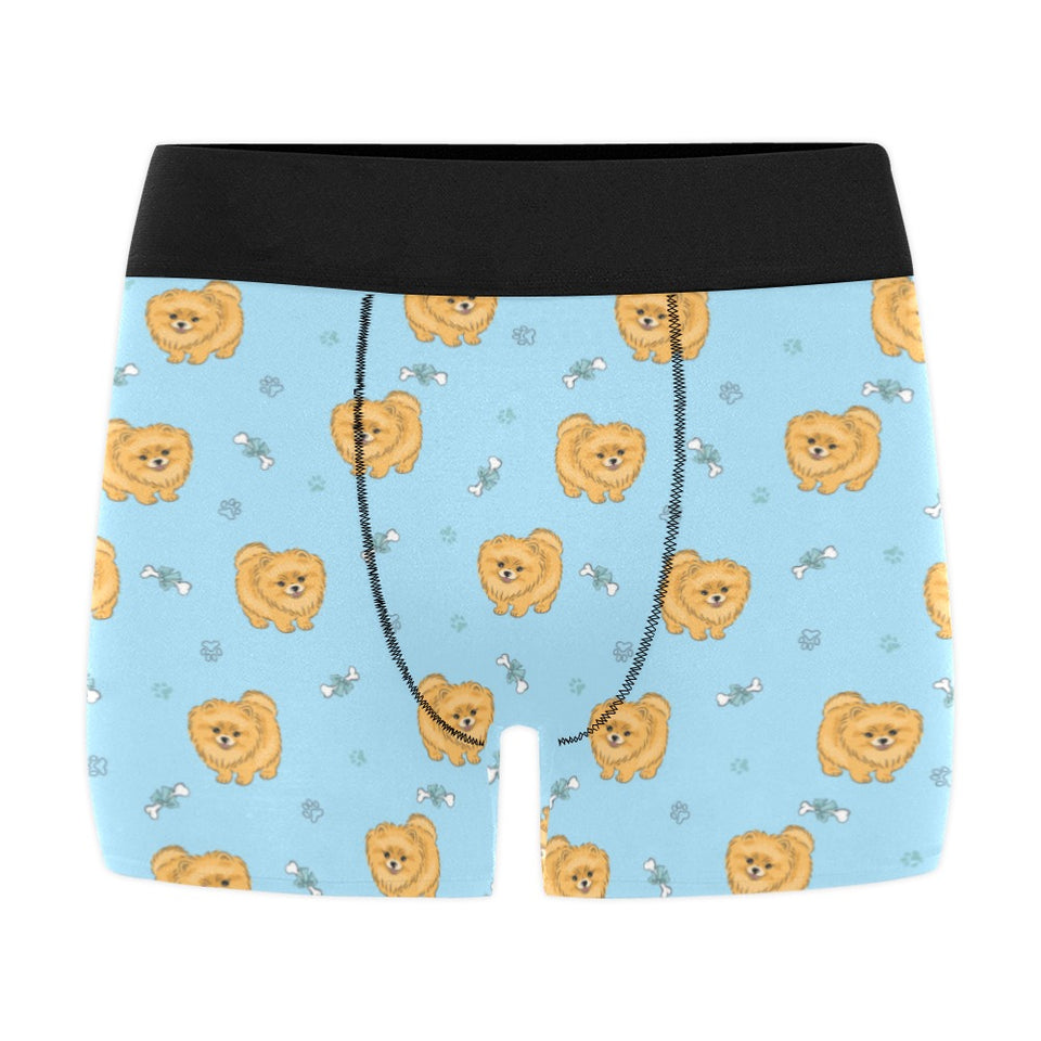 Brown cute pomeranian blue blackground Men's All Over Print Boxer Briefs Men's Underwear