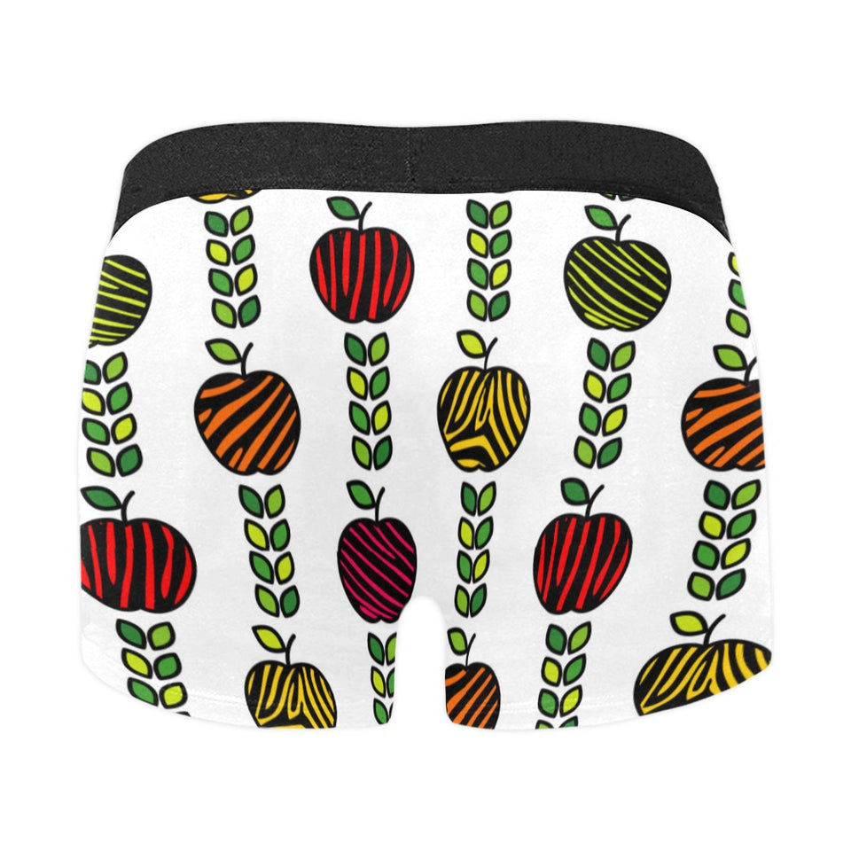 colorful apples leave zebra stripe Men's All Over Print Boxer Briefs Men's Underwear