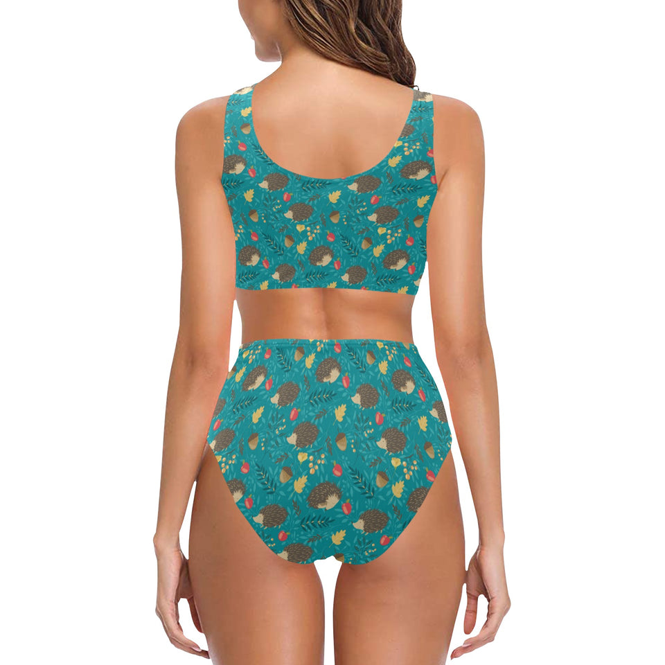 Hedgehog Pattern Print Design 01 Chest Bowknot High Waisted Bikini Swimsuit