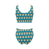 Guinea Pig Pattern Print Design 03 Chest Bowknot High Waisted Bikini Swimsuit