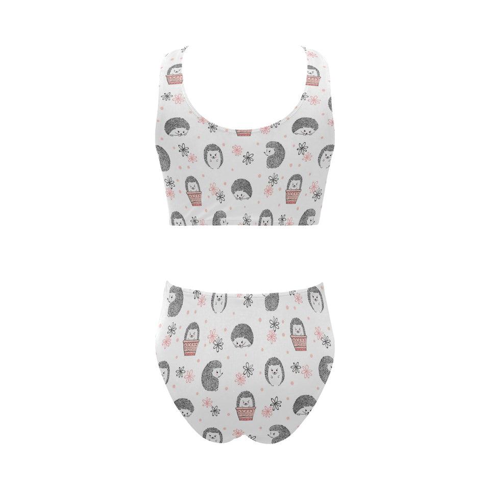 Hedgehog Pattern Print Design 02 Chest Bowknot High Waisted Bikini Swimsuit