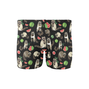Raccoon watermelon pattern Men's Swimming Trunks