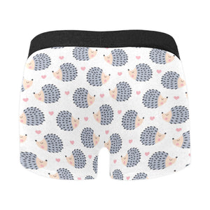 Hedgehog Pattern Print Design 04 Men's All Over Print Boxer Briefs Men's Underwear