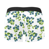 blueberry white background Men's All Over Print Boxer Briefs Men's Underwear