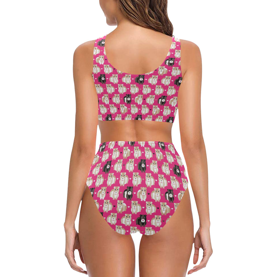 Guinea Pig Pattern Print Design 01 Chest Bowknot High Waisted Bikini Swimsuit