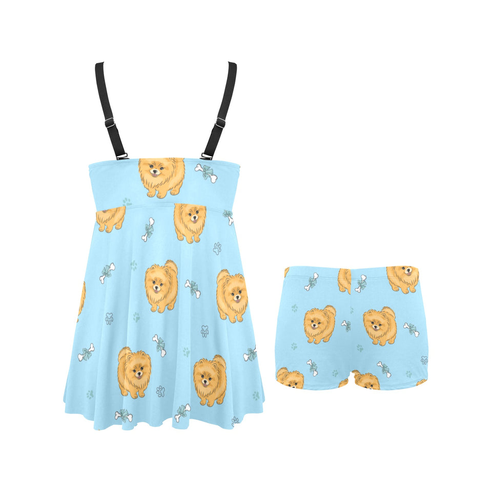 Brown cute pomeranian blue blackground Chest Sexy Pleated Two Piece Swim Dress