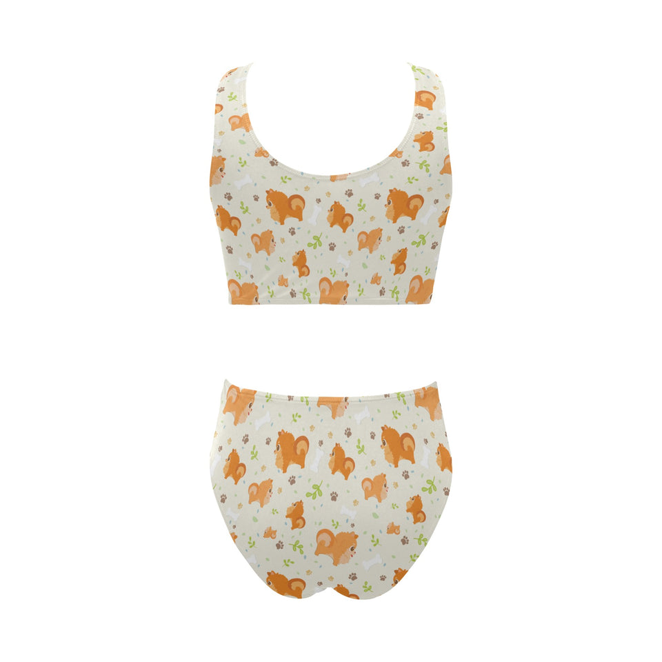 Cute brown pomeranian paw leave bone pattern Chest Bowknot High Waisted Bikini Swimsuit
