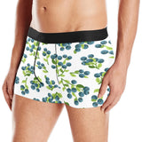 blueberry white background Men's All Over Print Boxer Briefs Men's Underwear