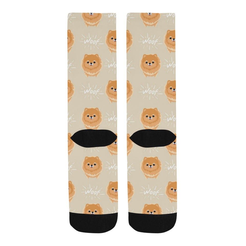 Cute brown pomeranian puppy on blue Crew Socks