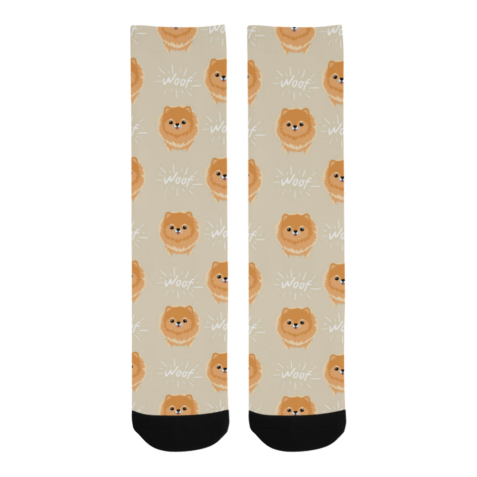 Cute brown pomeranian puppy on blue Crew Socks