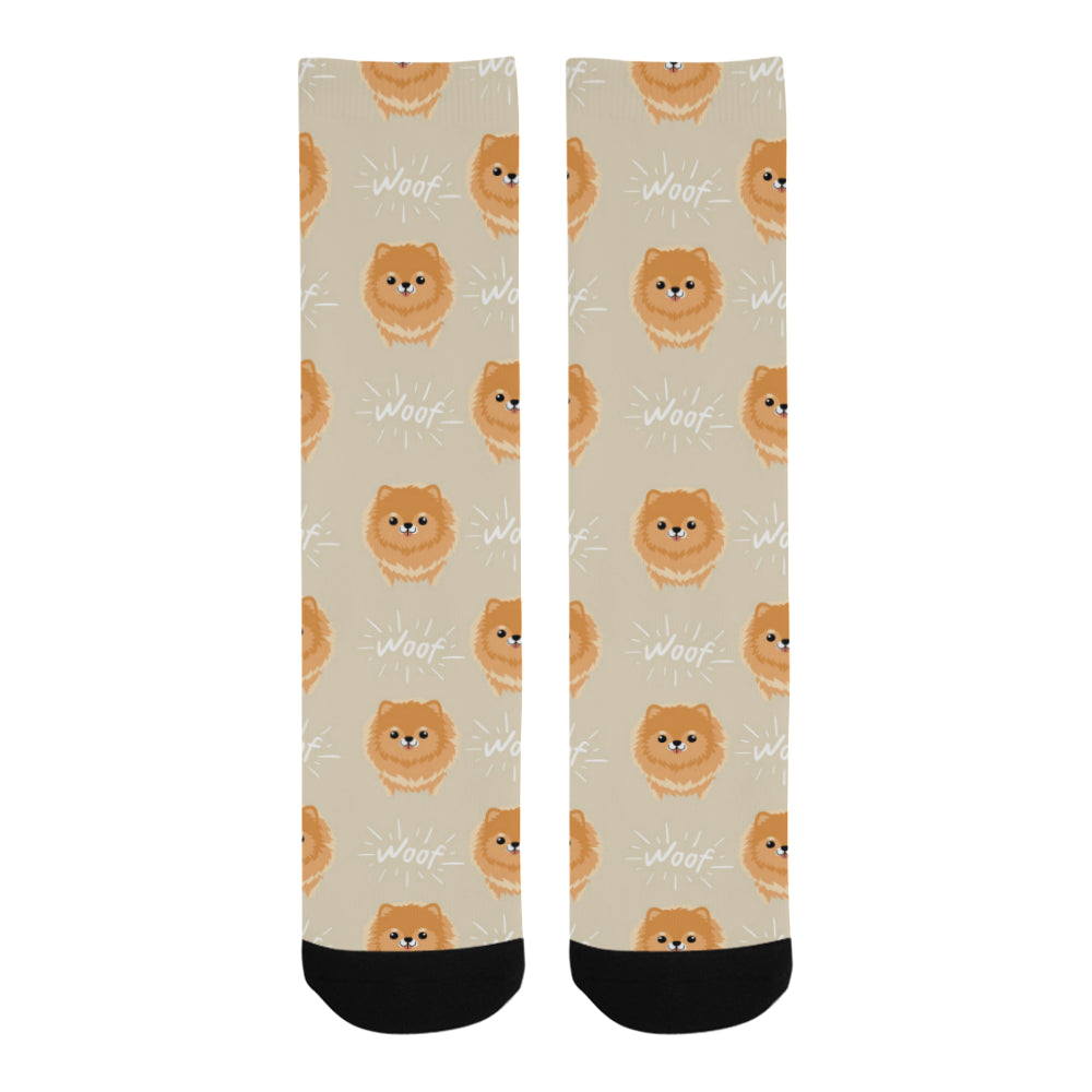 Cute brown pomeranian puppy on blue Crew Socks